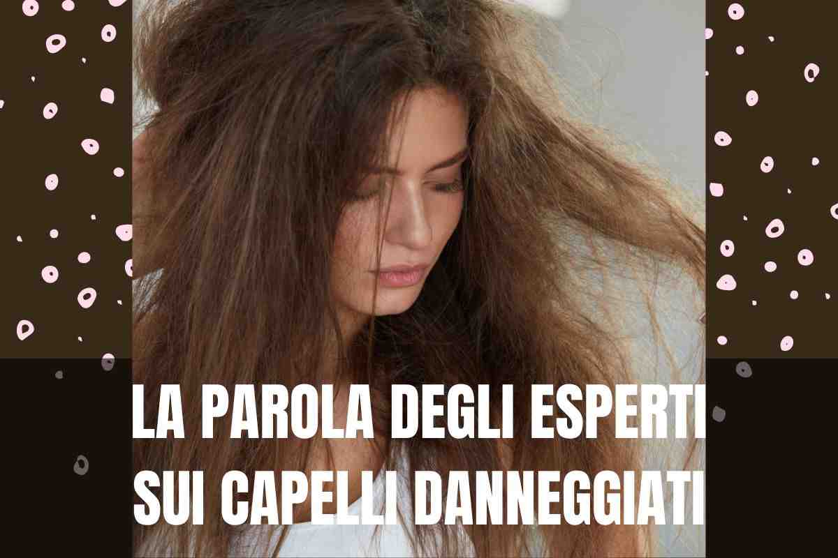 capelli danneggiati parola esperti